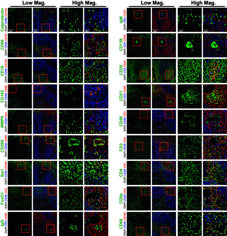 Figure 3