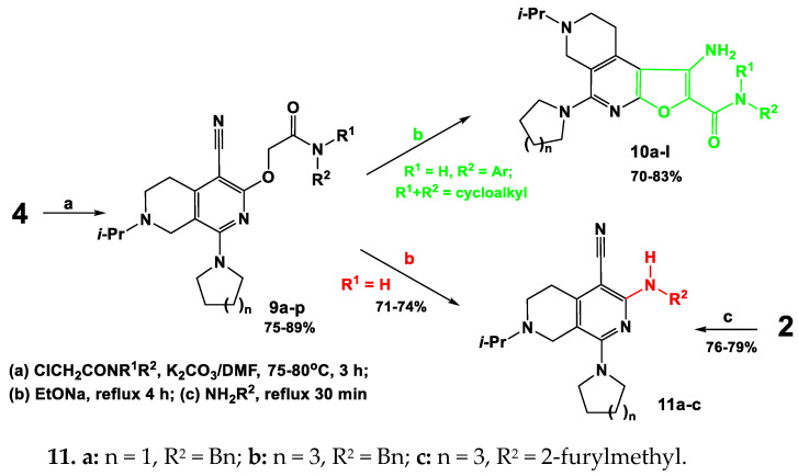 Scheme 4