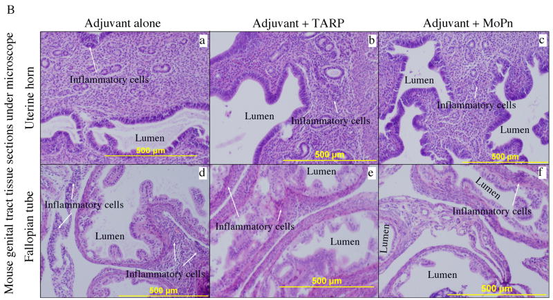 Fig. 9