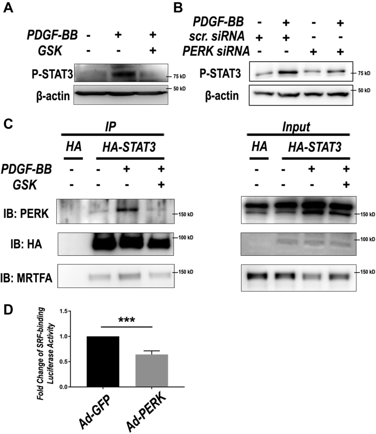 Figure 5