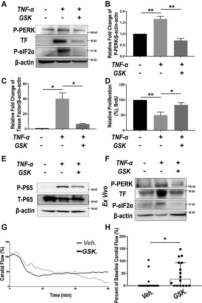 Figure 6