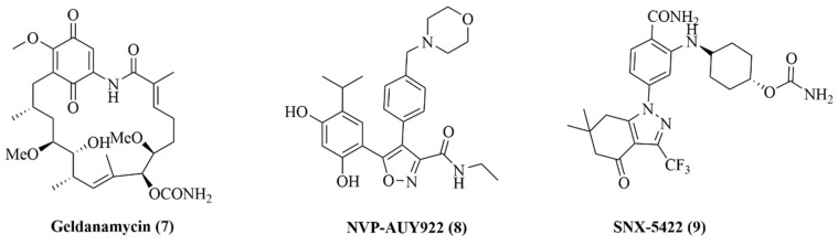 Figure 10