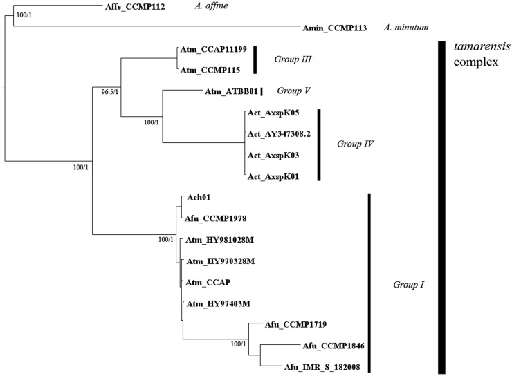 Fig. 4