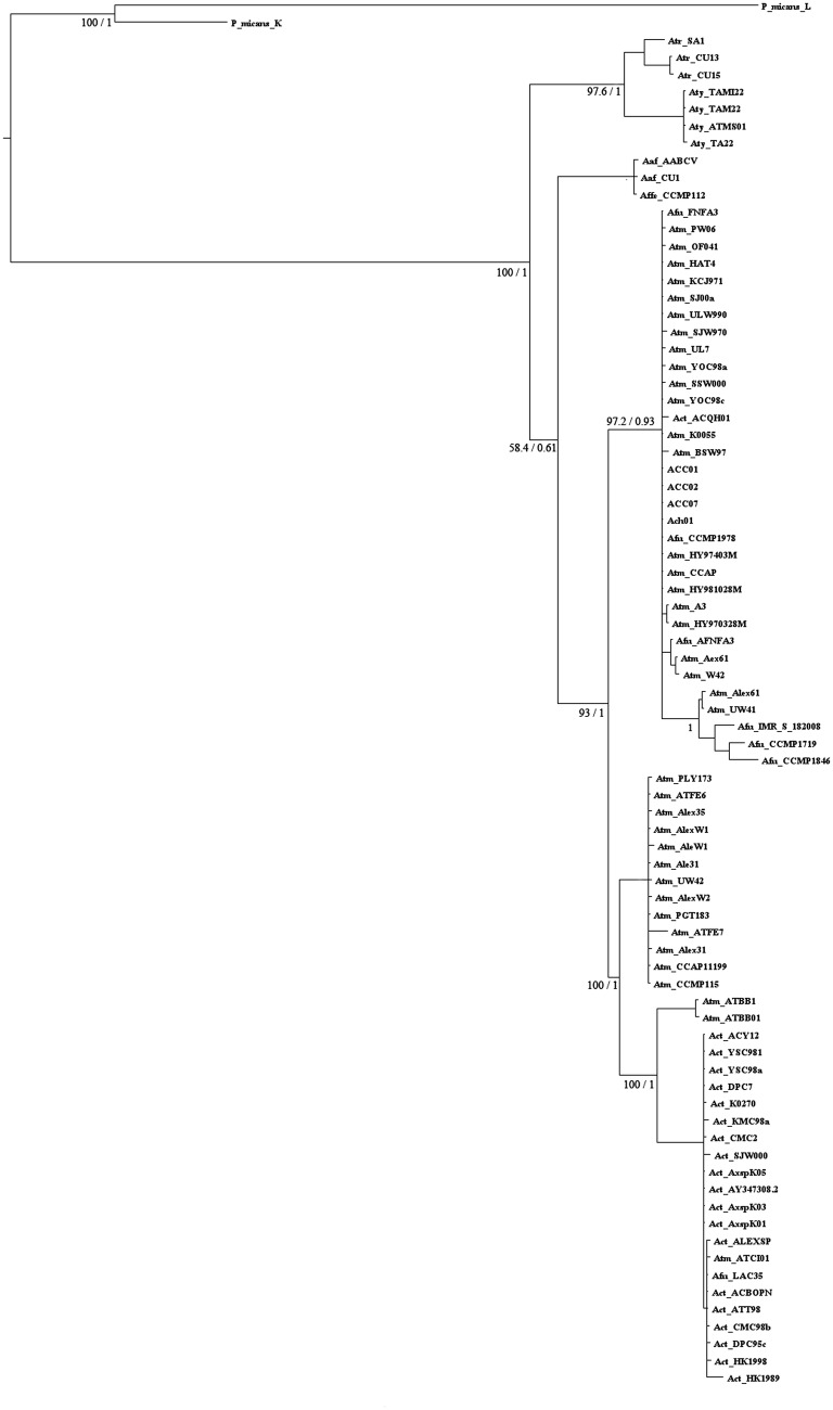 Fig. 3