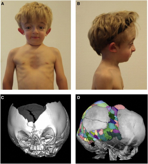 Figure 1