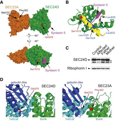 Figure 5