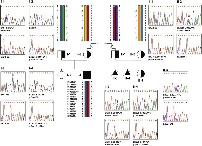 Figure 2