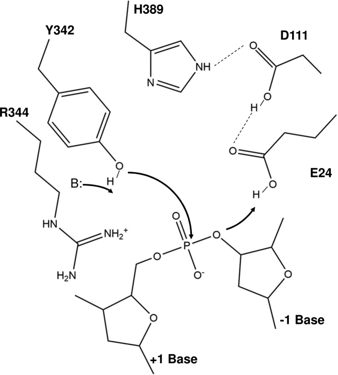 Figure 7.