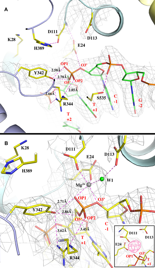 Figure 3.