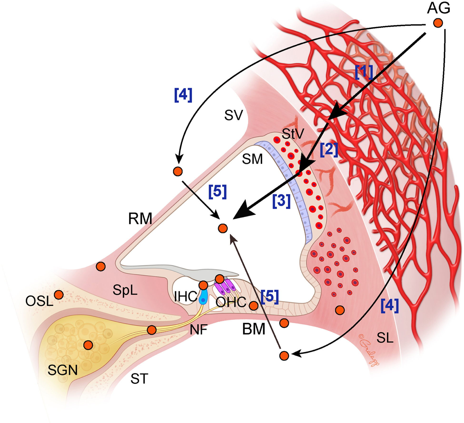 Fig. 3.