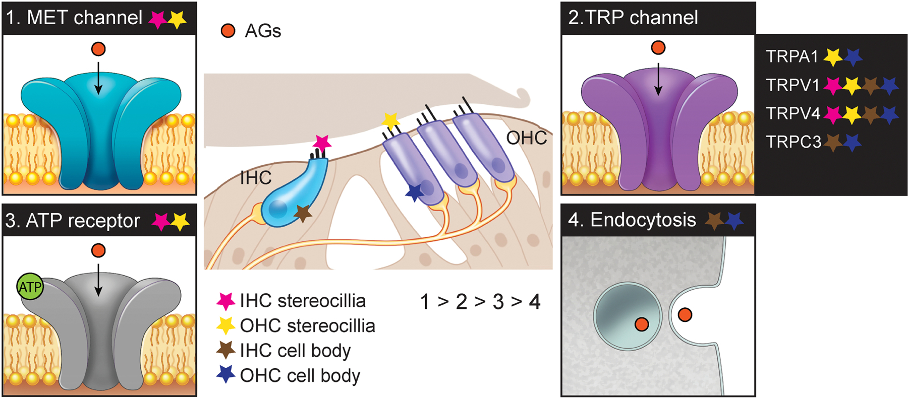 Fig. 4.