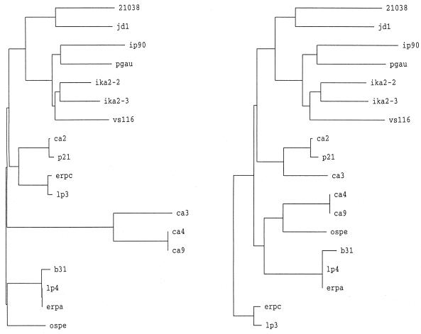 FIG. 6