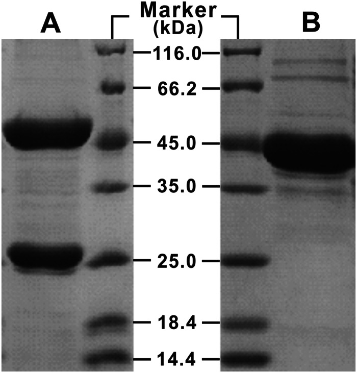 FIG 4