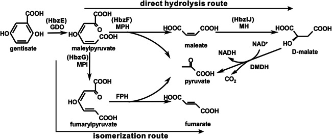 FIG 1