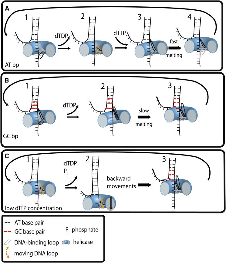 Figure 5