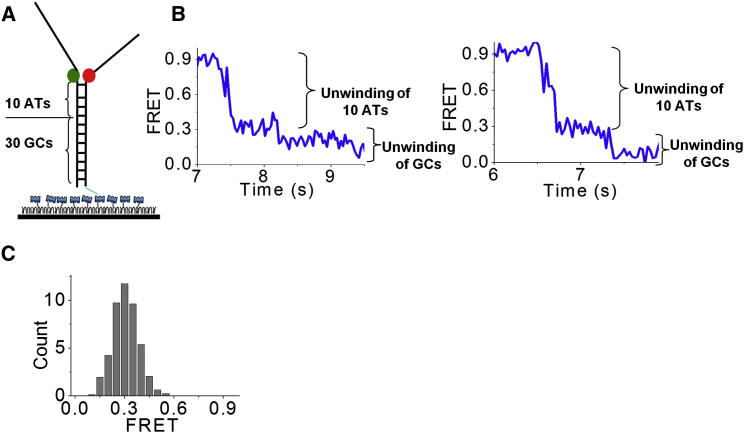 Figure 2