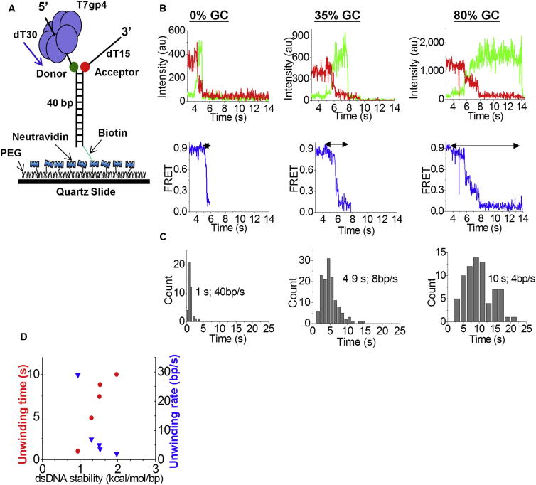 Figure 1