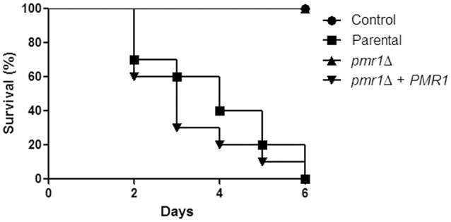 Figure 10