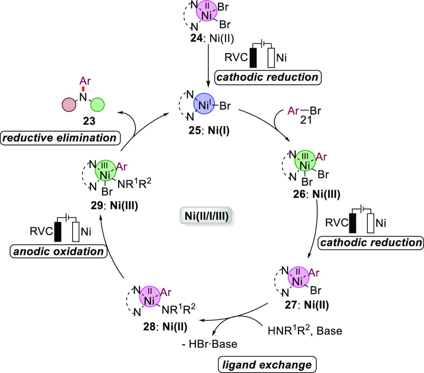 Scheme 5