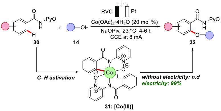 Scheme 6