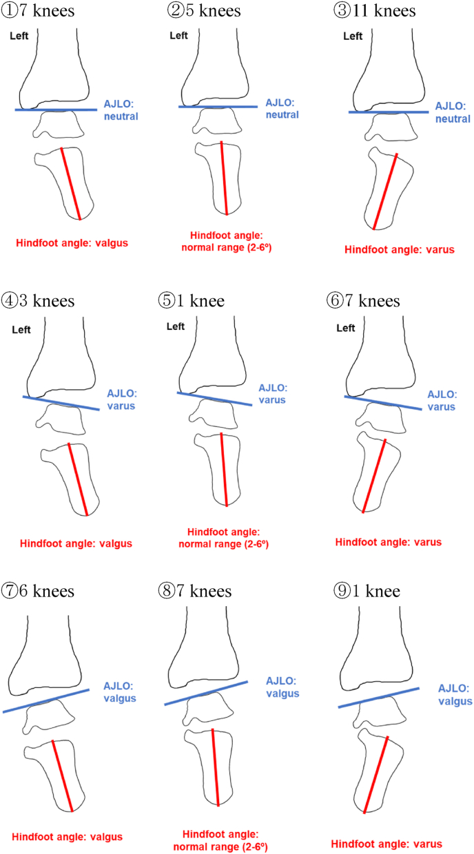 Fig. 4