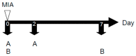 Figure 8