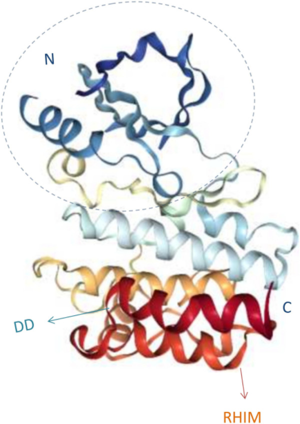 FIGURE 1