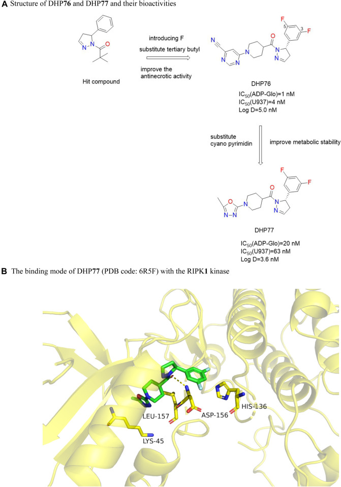 FIGURE 17