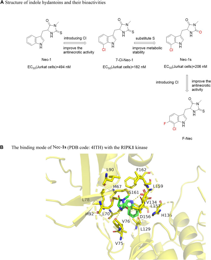 FIGURE 11