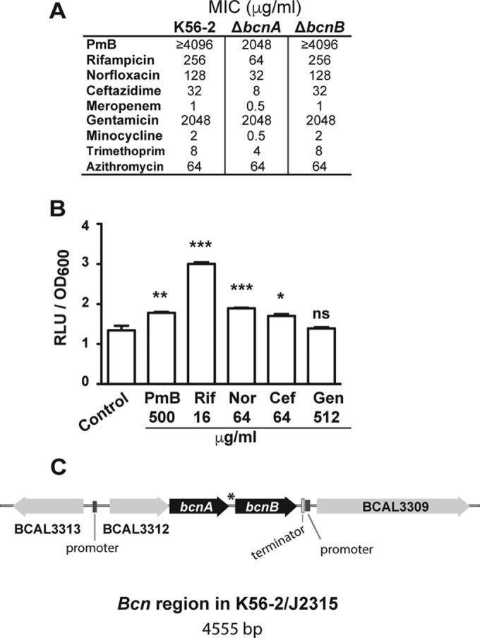 FIG 1 