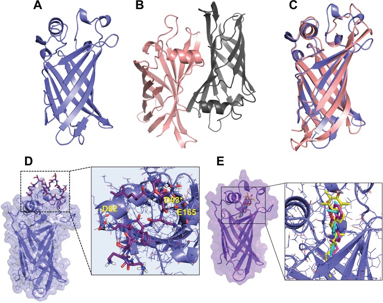 FIG 4 