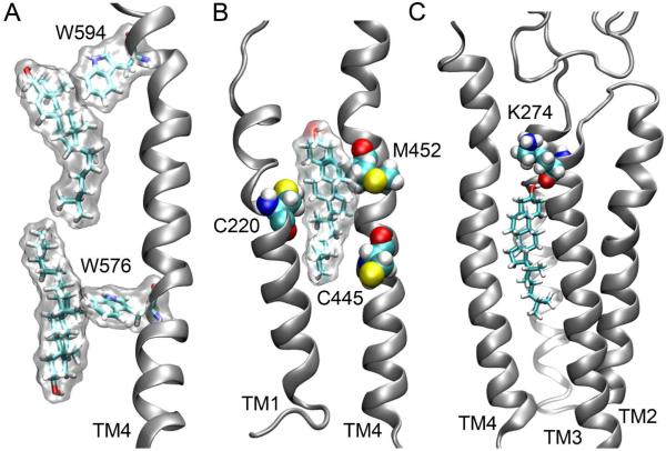 Figure 5