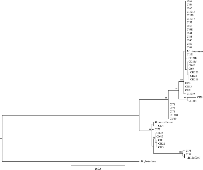 FIG. 2.