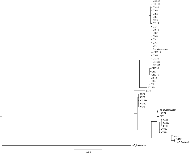 FIG. 3.