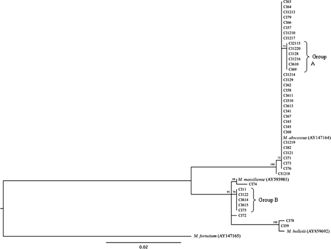 FIG. 1.