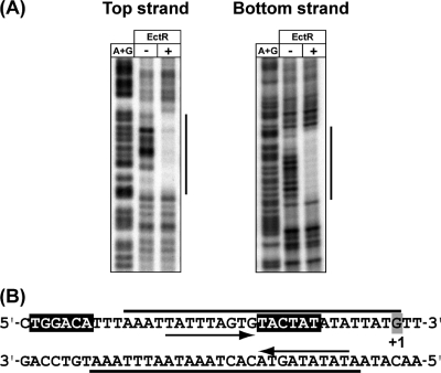 FIG. 5.