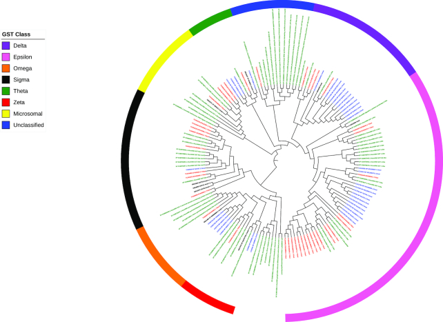 Figure 7: