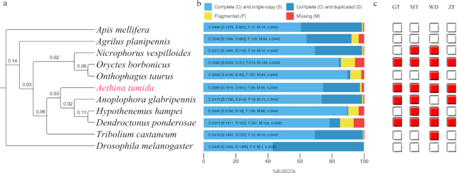 Figure 2: