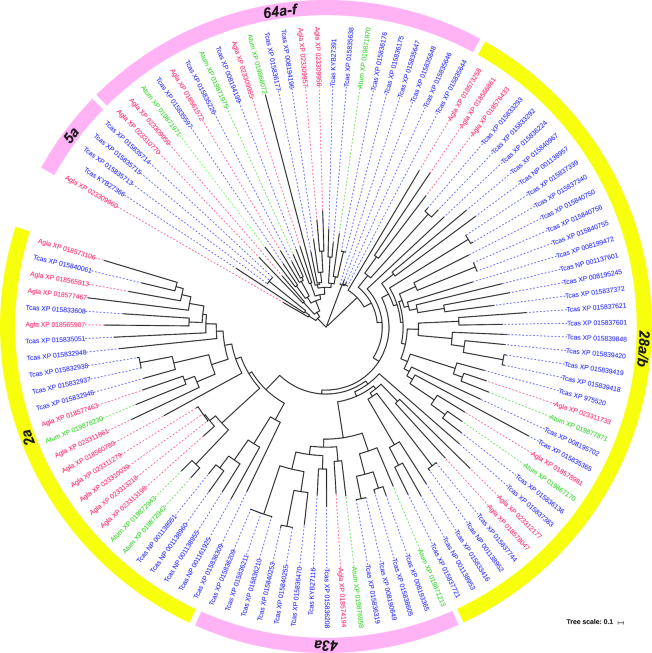 Figure 5: