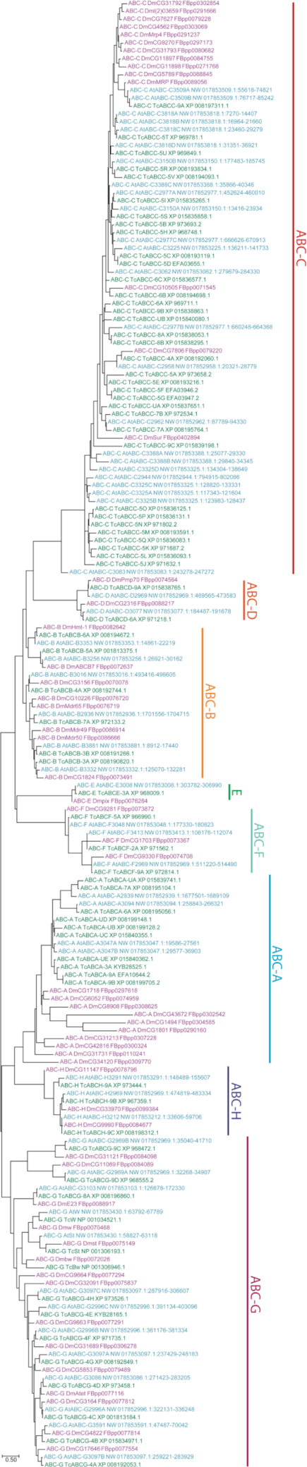 Figure 6: