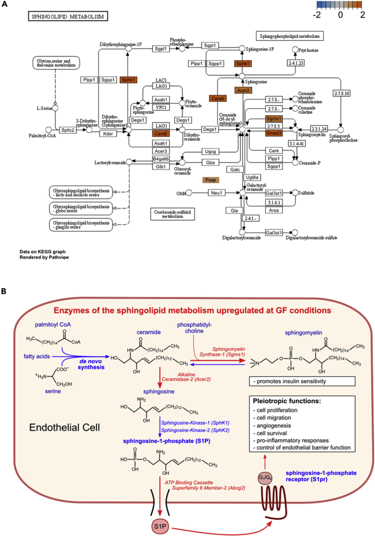 Figure 4