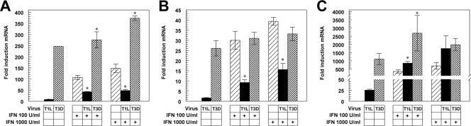 FIG. 1.