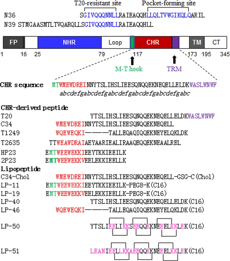 FIG 1