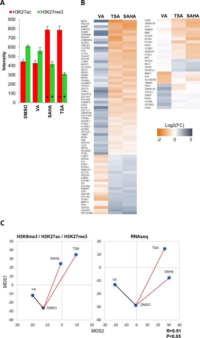 Figure 1—figure supplement 5.