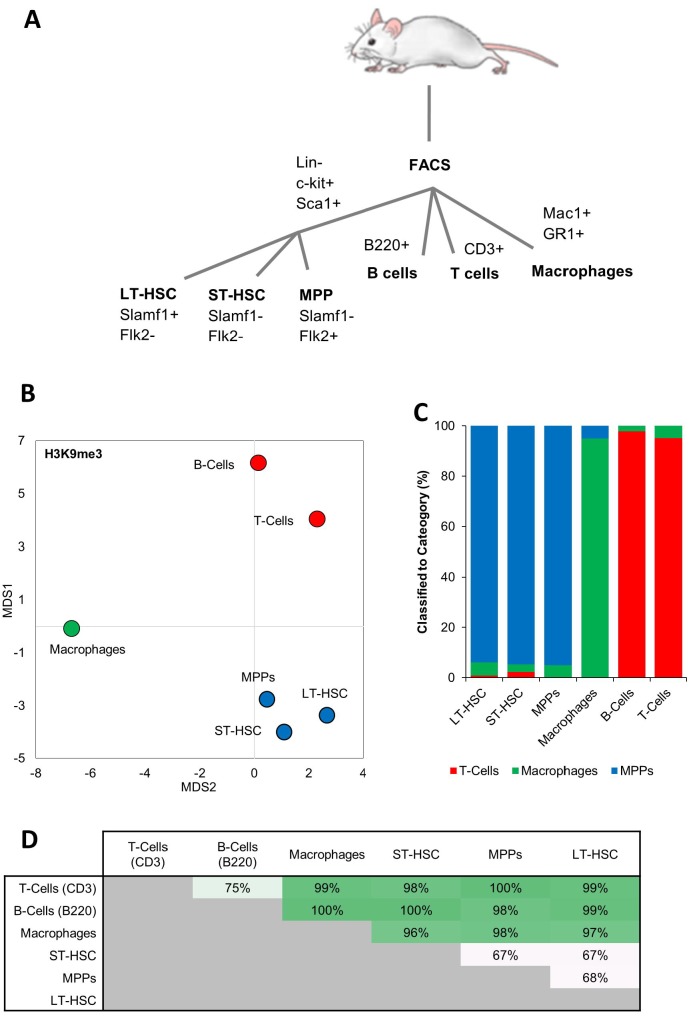 Figure 4—figure supplement 2.