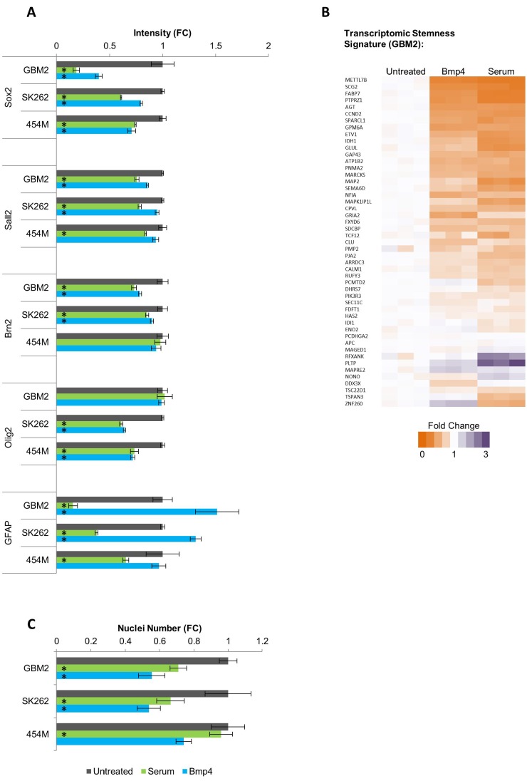 Figure 4—figure supplement 3.