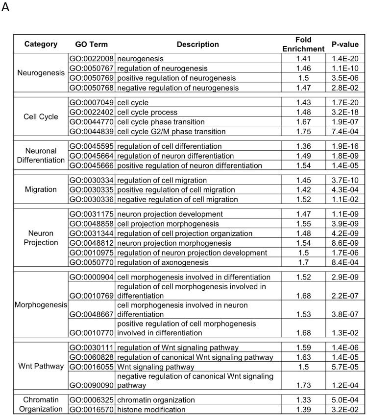 Figure 4—figure supplement 4.