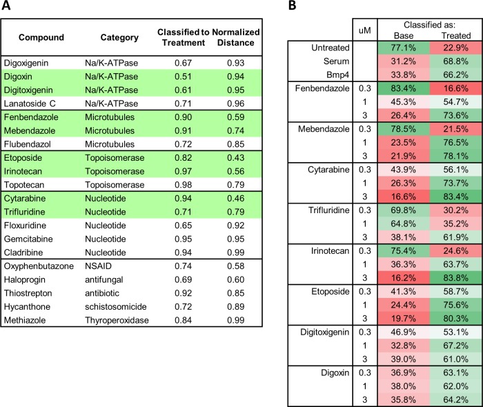 Figure 5—figure supplement 1.