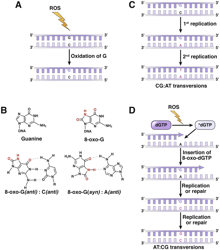 Figure 2