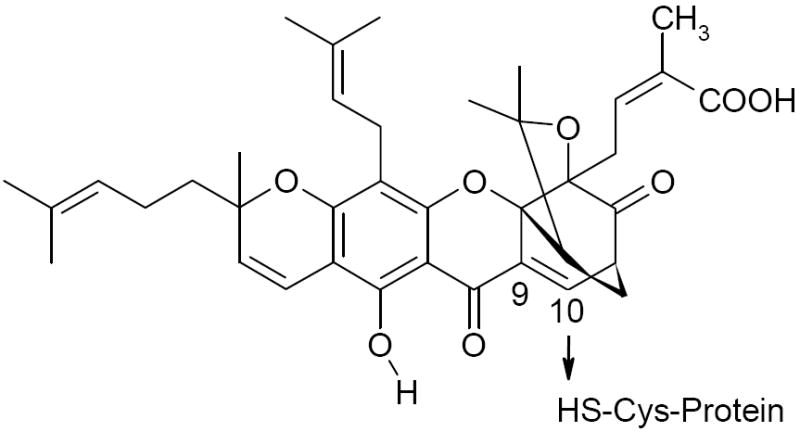 FIGURE 1